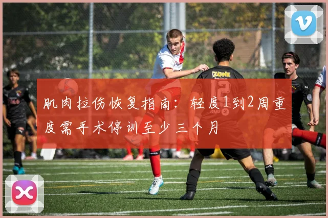 肌肉拉伤恢复指南：轻度1到2周重度需手术停训至少三个月