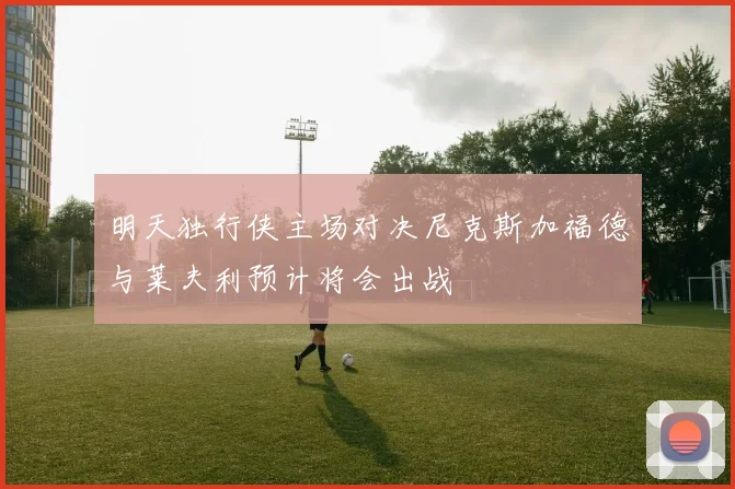 明天独行侠主场对决尼克斯加福德与莱夫利预计将会出战